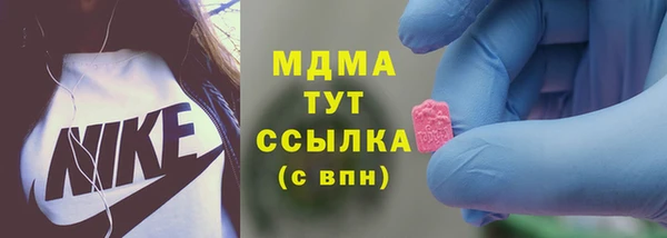 индика Алзамай