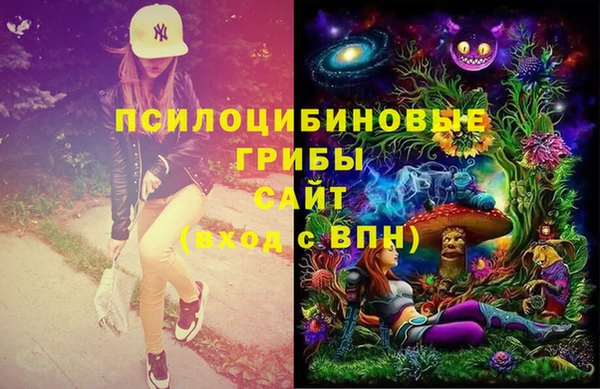 индика Алзамай