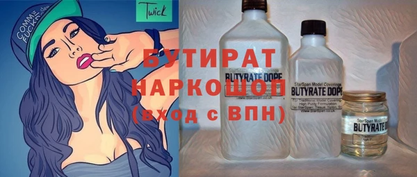 индика Алзамай