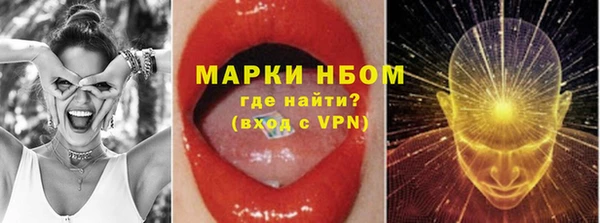 индика Алзамай